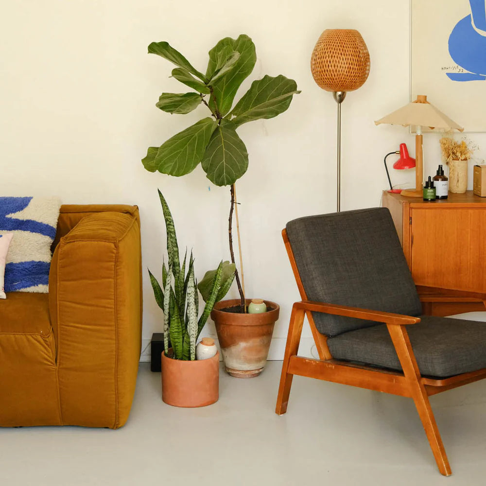 Olla - Jaune moutarde