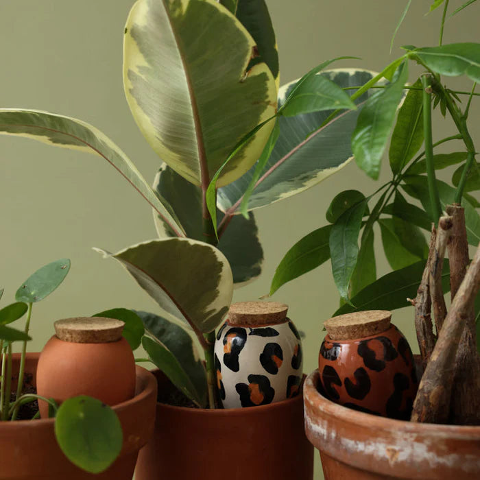 Trio mini Ollas  - Les léopards Pepin