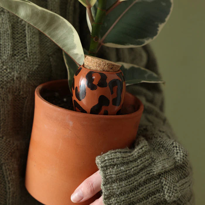 Olla - Léopard Macchiato