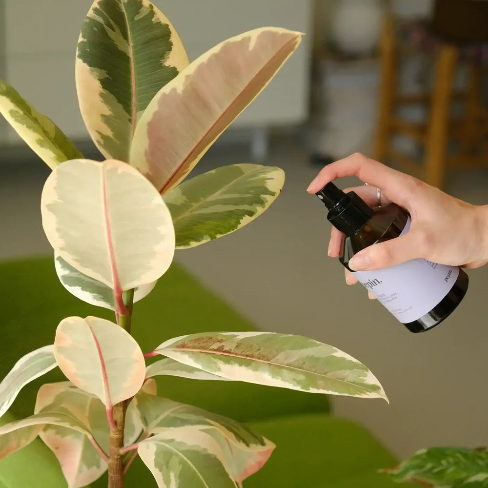 Toner protecteur - spray pour plantes